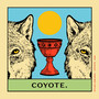 Coyote