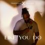 LIKE YOU DO (feat. KHEMIST BEATZ) [Explicit]