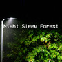 Night Sleep Forest