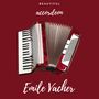 Beautiful Accordeon
