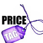 Price Tag (in the style of Jessie J)