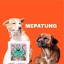 Mepatung