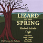 Lizard In The Spring