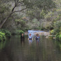 Up the Strange River
