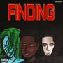 FINDING (Explicit)