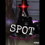 SPOT (feat. Hopout flocca) [Explicit]