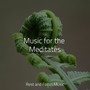Music for the Meditates