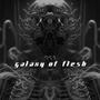 Galaxy Of Flesh Original Soundtrack