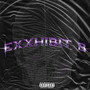 Exxhibit B (Explicit)