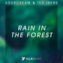 Rain In The Forest