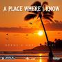 A Place Where I Know (feat. Hori Shaw & Kruzi)