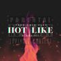 Hot Like (Explicit)