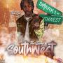 The Book of Southwest (Explicit)