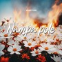 Nampa Pole