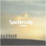 Spotlessly