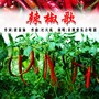 辣椒歌