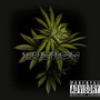 Bushes (Explicit)