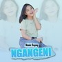 Ngangeni