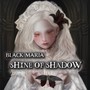 SHINE OF SHADOW