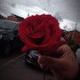 El Fin Del Todo (Explicit)