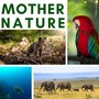 Mother Nature – Music to Connect You with Nature, Forest Wind and Sound of Water