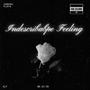 Indescribable Feeling (feat. SKN)