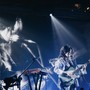 飞鸟 (Live)