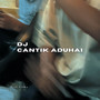 DJ CANTIK ADUHAI