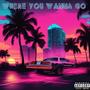 Where you wanna go (feat. Jxyvior) [Explicit]