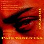 Pain To Success (Explicit)