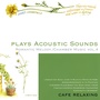 Plays Acoustic Sounds: Romantic Melody, Chamber Music, Vol. 3