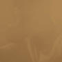 Dust (feat. Bxndo) [Explicit]