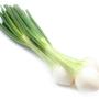 fat scallions