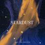 Stardust (feat. F1regek & among the stars)