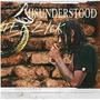 Misunderstood (Explicit)