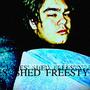 JAMES' SHED FREESTYLE (feat. lil Bolos, lil Curry Cow, Nig N Word, Dragon Slayer, Tiam.oe & Chase) [Explicit]