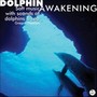 Dolphin Awakening