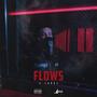 Flows (Explicit)