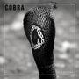 Cobra