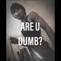 Are U Dumb? (Explicit)