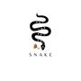 SNAKE (TECHNO MUSIC)