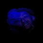 Egóico (Armadilha) [Explicit]
