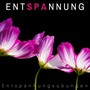 EntSPAnnung: Entspannungsübungen, Beruhigende Meditationsmusik,Yoga, Spa, Massage, Reiki, Heilende Geräusche der Natur