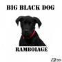 Big Black Dog