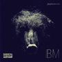 Bearly Making It (Explicit)