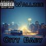 City Baby (Explicit)