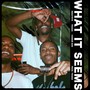 What It Seems (Explicit)