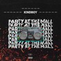 Party at the Mall (Prod. Blackmetalfox)