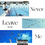 Never Leave Me