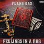 Feelings In A Bag (Explicit)